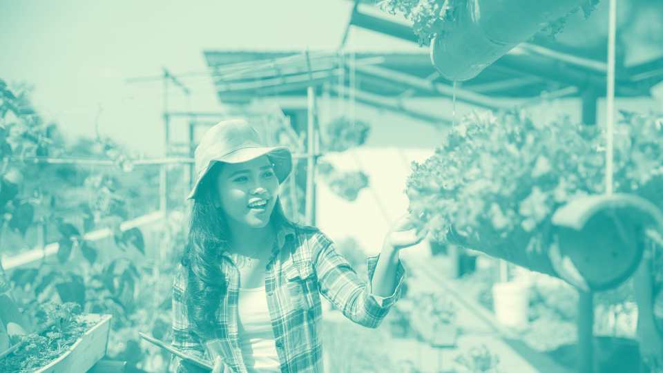 Métiers Verts Formation IFPDOM