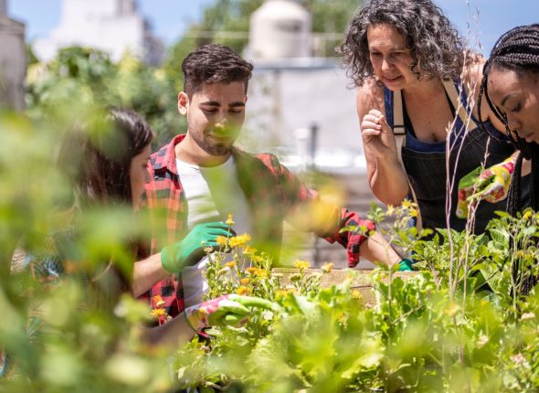 Formation agriculture urbaine IFPDOM Environnement