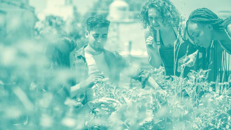 agriculture urbaine formation ifpdom eco responsable