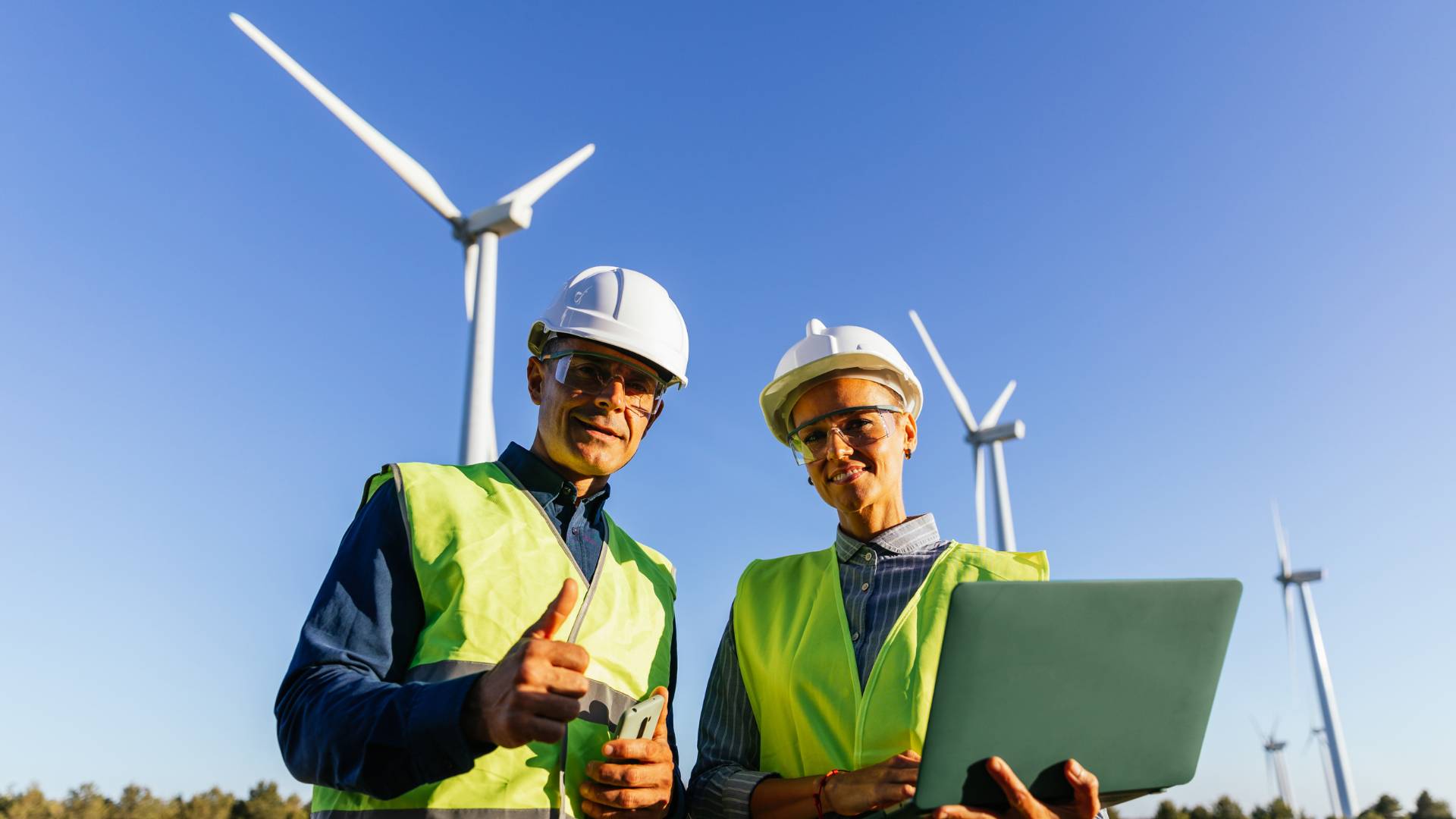 Bachelor Environnement Transformation écologique, énergitique et sociale