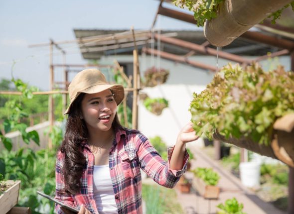 Formation Métiers Verts Ifpdom Environnement