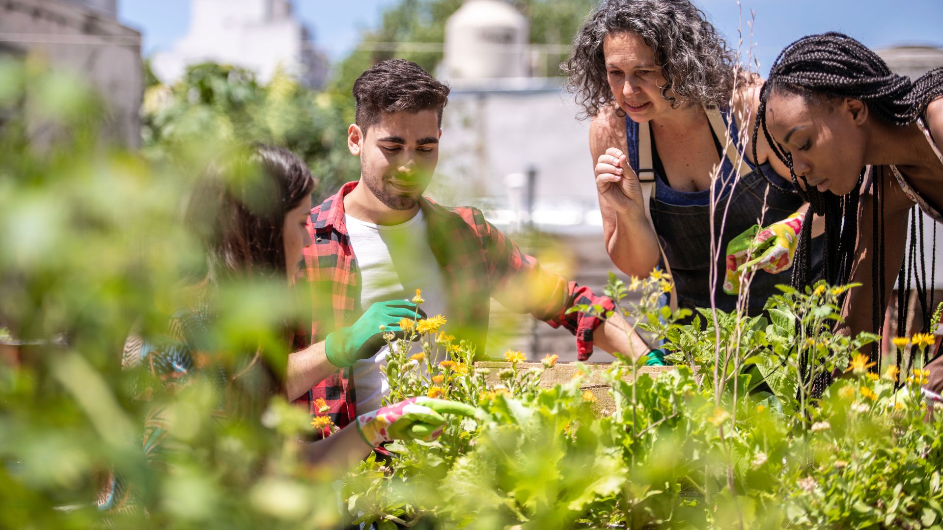 Formation agriculture urbaine IFPDOM Environnement